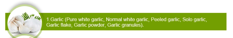 High Quality Salted Preserved Garlic in Brines Common White Garlic in Brine