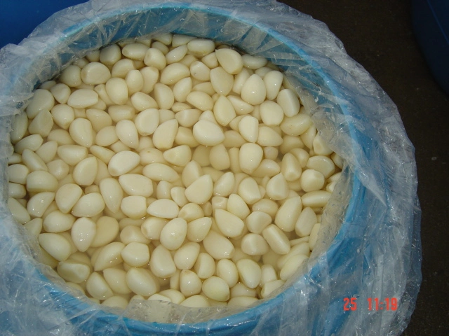 Best Quality Peeled Garlic Cloves in Brine Salted Garlic Cloves