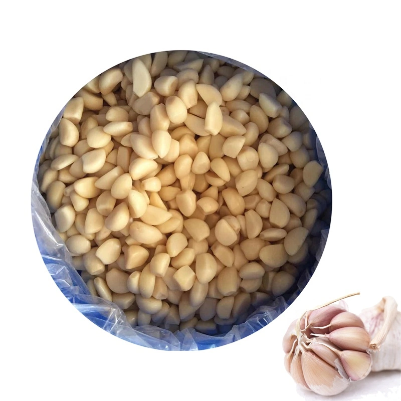 Best Quality Peeled Garlic Cloves in Brine Salted Garlic Cloves