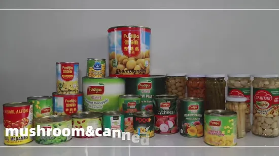 Pns de cogumelos champignon 100% enlatados em salmoura da China