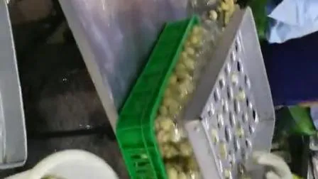 Cogumelos enlatados, Frutas enlatadas, Legumes enlatados, Cogumelos em So2, Cogumelos em salmoura, Cogumelos em vinagre